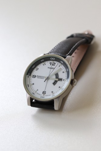 Timex perpetual calendar - timex,